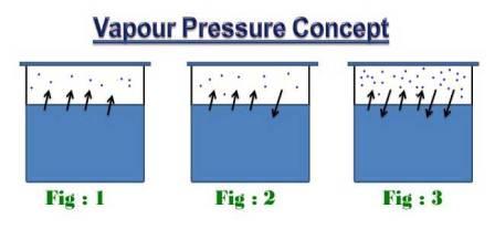 Importance of vapour pressure